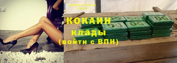 дурь Богородицк