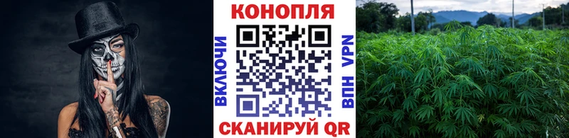 Шишки марихуана сатива  Афипский 